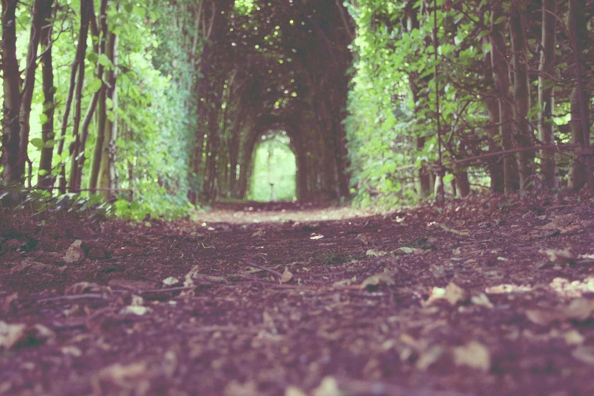 Cassino Royale BR — Mídia