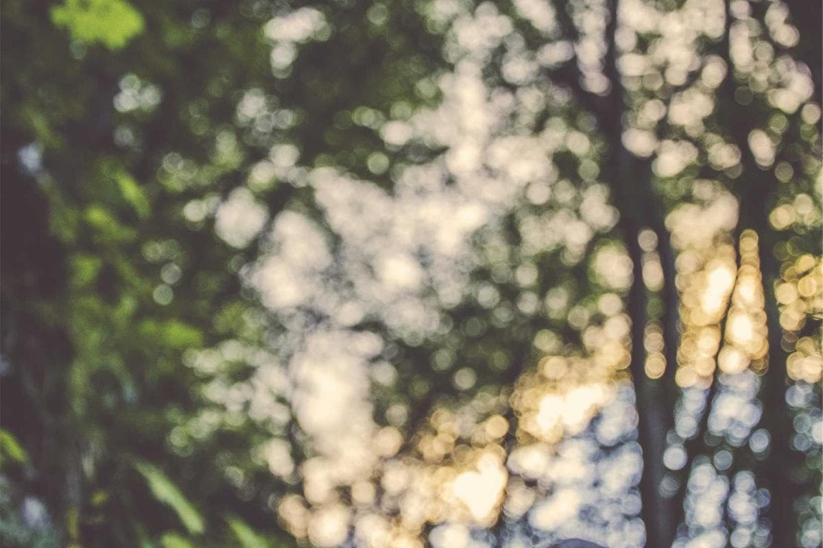 Cripto Alpha Calls — Mídia