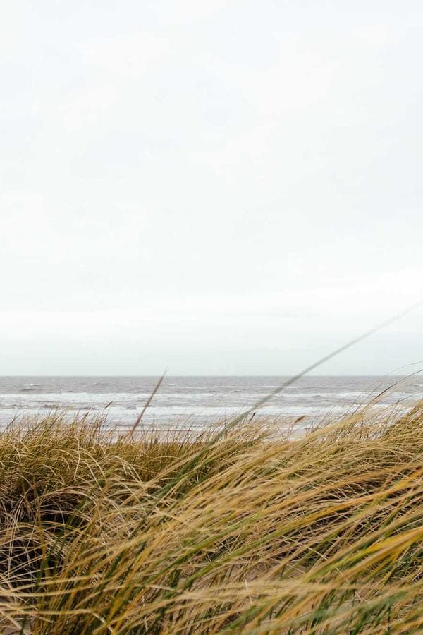 Code Masters Brasil - Canal de Tecnologia no Telegram