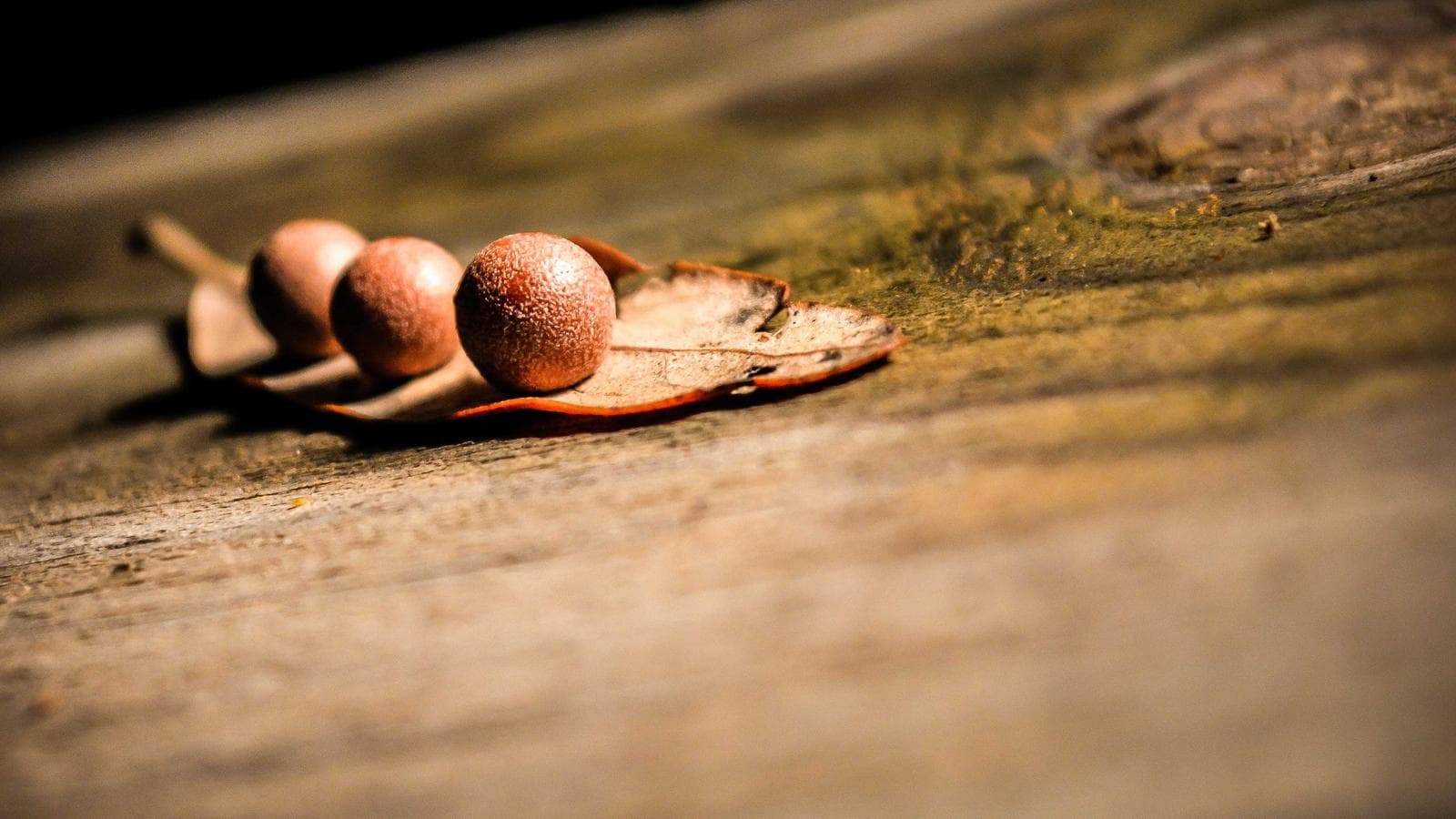 Cripto Alpha Calls — Capa