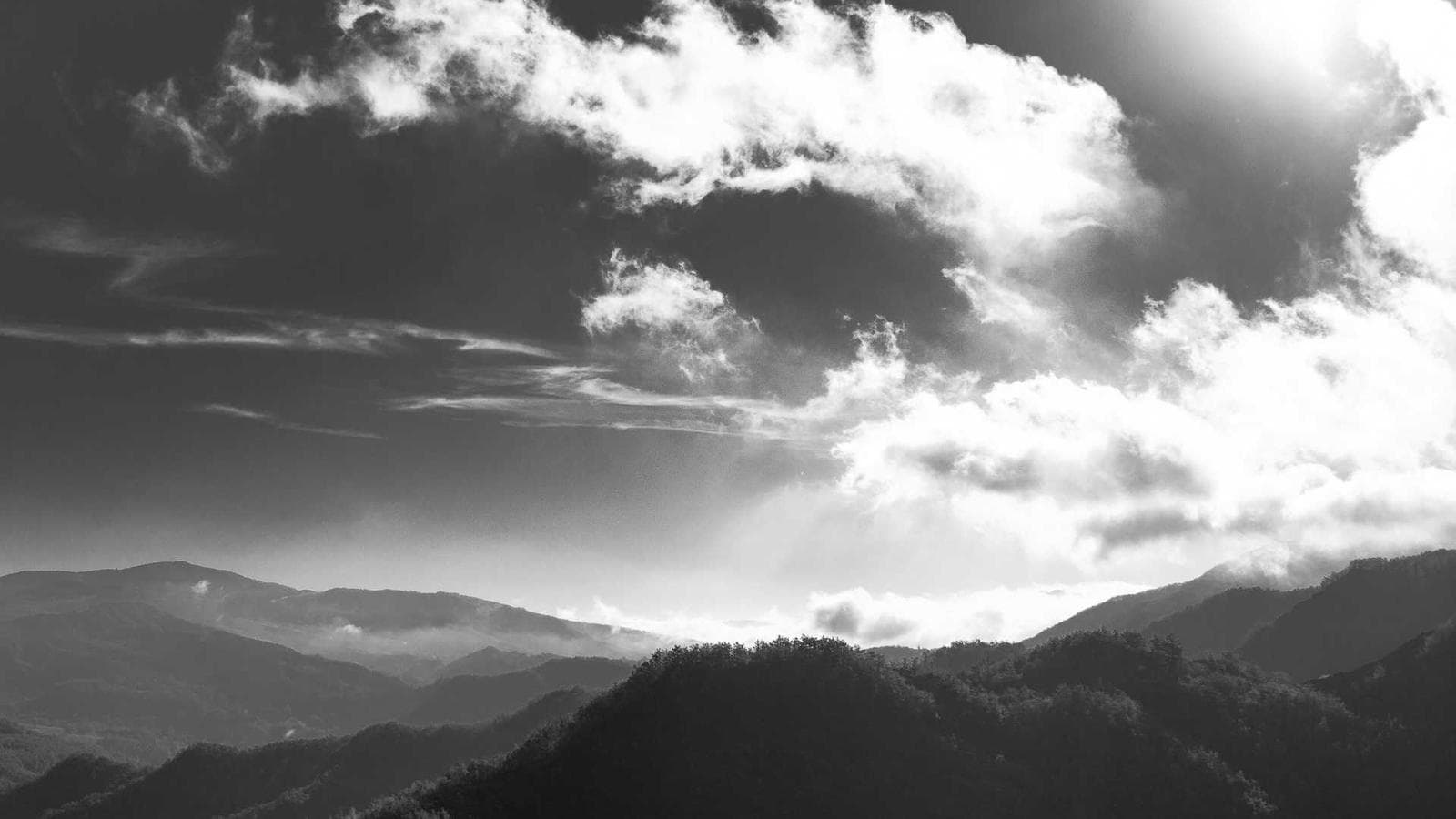 Stand Up & Memes — Capa